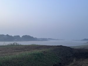 春の名残、朝靄のつくば