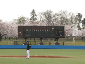 桜の咲く頃